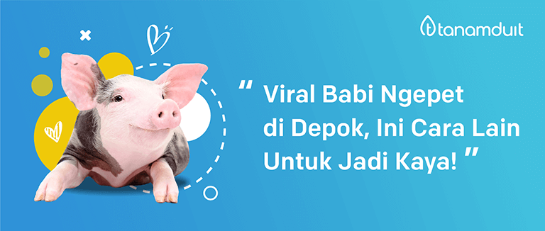 Viral Babi Ngepet di Depok, Ini Cara Lain Untuk Jadi Kaya!